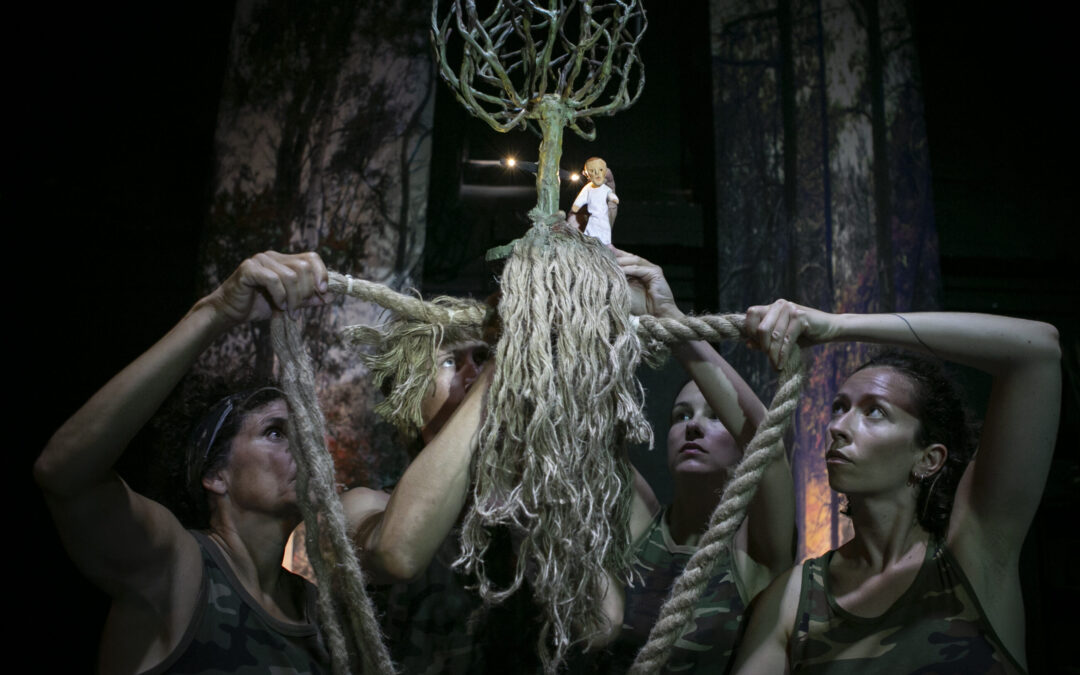 Embrasing The Roots